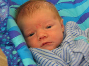 Cole12112nd.jpg