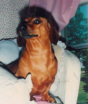 penny1.jpg