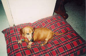 penny11.jpg