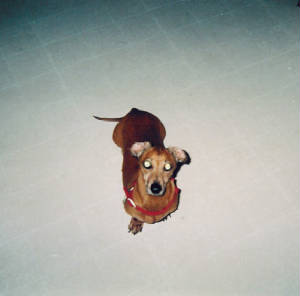 penny13.jpg