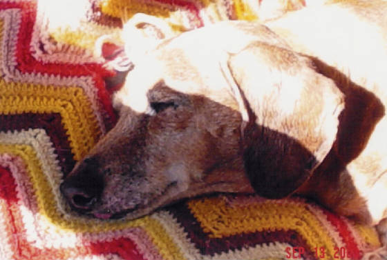 pennysleep.jpg