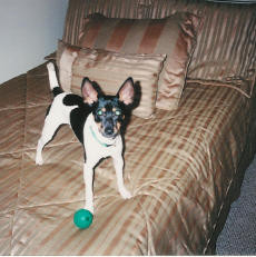 bailey2.jpg