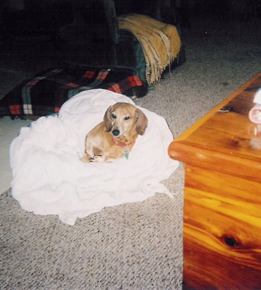 penny14.jpg