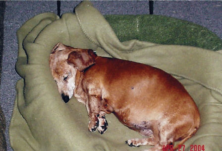 penny18.jpg